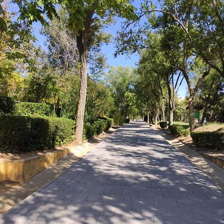 Apartamento Rosa Park Toledo Kültér fotó